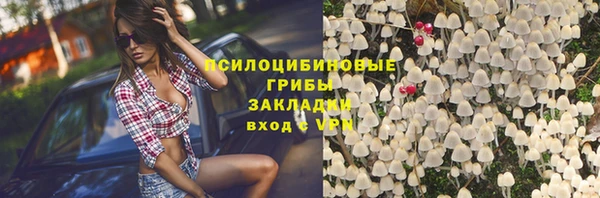 мяу мяу мука Балахна