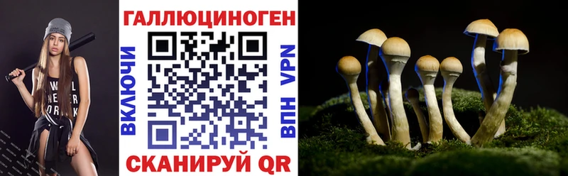 Купить  Козьмодемьянск  Галлюциногенные грибы MAGIC MUSHROOMS 
