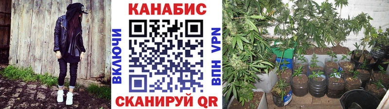 МАРИХУАНА тримм  Купить закладки  Козьмодемьянск 